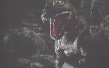 L'"homme-abeille" candidat