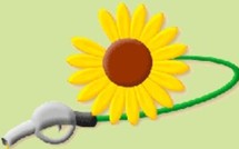 Actus Monde 06/06/2006