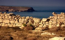 Malta news: Gonzi's game