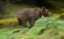 Actus Monde 23/06/2006