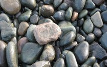 L'apocalypse de Tourette