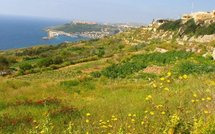 Malta news: nursing posts