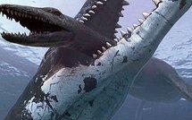 L'accouchement sous X et la constitution