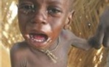 Marchés agricoles et mondialisation