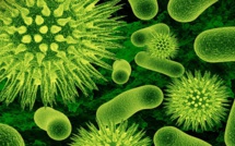 Covid19: faut-il se méfier des superinfecteurs?