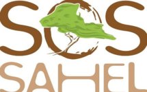 SOS SAHEL SENEGAL: JOURNEE CONTRE LA DESERTIFICATION