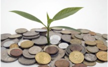 L'Euope de multiplie