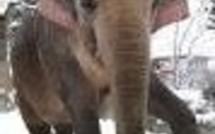 Actus Monde 03/09/2006