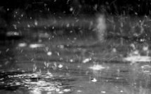 Les britanniques plus britanniques