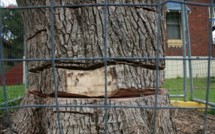 Mise en examen et nouveau CV