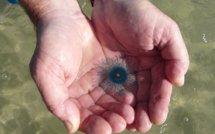 Attaque à main armée à l’Élysée