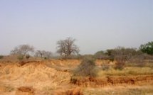 La Cédéao et le nord Mali