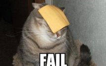 Échec d'al Qaeda en Europe