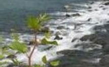 France, terre d’écueil