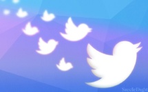 Twitter: les nouvelles règles pour certifier son compte