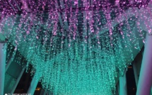 Marché de Noël a New Taipei