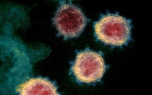 Covid 19: L'OMS se réunit en urgence sur les variants