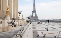 Covid: le variant britannique représente "jusqu'à 20% des infections de Paris"