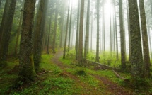 France: et si on commençait à parler utile?