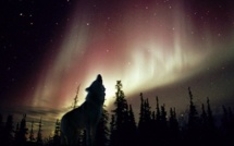 L’affaire Cahuzac crée la république inquisitoire