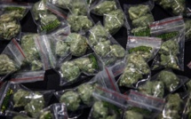 Chiayi a fait grimper le prix du marché de la plus grande usine de cannabis de Taiwan à plus de 500 millions