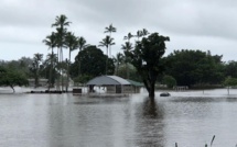 Revue de presse Hawaï