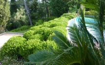 Alimentation anti-âge ? Questions ?