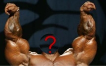 Elections municipales 2014 dans les grandes villes