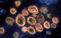 Les scientifiques détectent un nouveau coronavirus