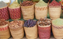 Egypte: les frères ou les soldats