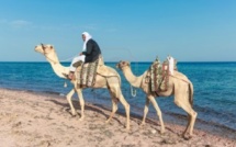 Egypte: l’armée rejette les Frères musulmans