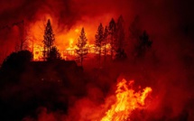 La Californie brûle un État en feu