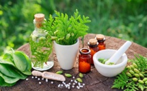 La naturopathie - Un concept de médecine préventive