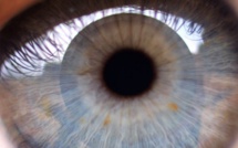 Le protocole pour garder des yeux de lynx toute sa vie.