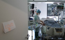 Des experts réclament des mesures urgentes en Allemagne