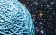 Le ver est dans le chou