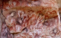 Théorie du genre, péril du genre