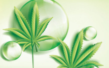 CBD Lausanne - Achat en ligne