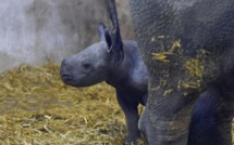 Incendies en Gironde : une dizaine d’animaux du zoo du bassin d’Arcachon n’a pas survécu