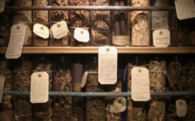 Monsieur DOUBA Voyant médium Marabout, spécialiste du couple à Pointe-a-pitre, Les-Abymes, en Guadeloupe, Tel - Whatsapp : + 33 779 72 19 03