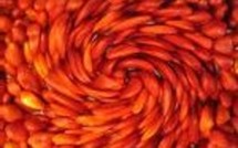 Environnement: Economie d'énergie et réduction d'émission de CO2