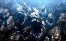 Mordu par un piranha dans les Vosges et autres news