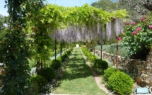 Genviève Cabiaux, architecte paysagiste concepteur |Cote d’Azur 06|