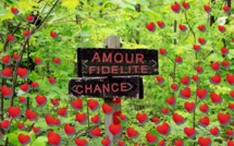 Sanba voyant marabout medium Martinique 97 Fort-de-France 06 80 10 44 50