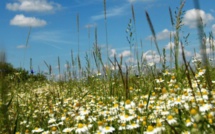 La transition énergétique par Ségolène Royal