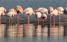 Russie: les Européens divisés sur les mesures à adopter