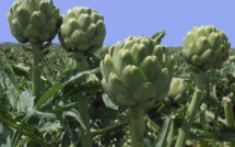 France: encore trop de dépenses budgétaires