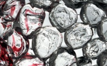 Les djihadistes présumés n'ont pas été arrêtés