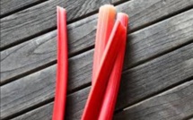 Présidentielles 2017 Juppé Sarkozy Fillon: il y aura des primaires