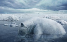 Une transition énergétique irréversible